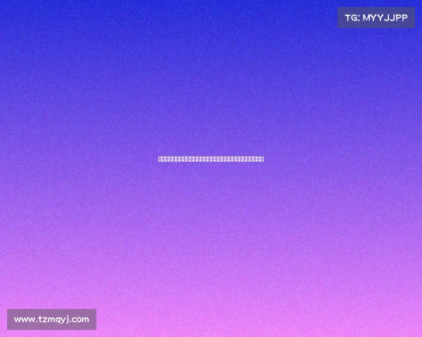 梅斯城市发展与历史文化的融合探析及其在现代化进程中的独特地位