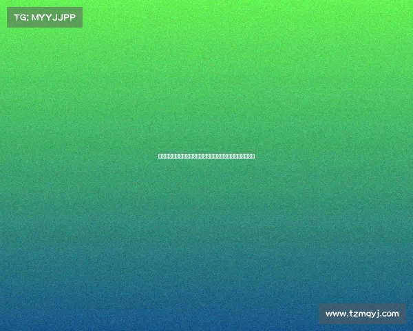 法甲转会市场动态分析：各大球队引援策略与夏季转会前景展望